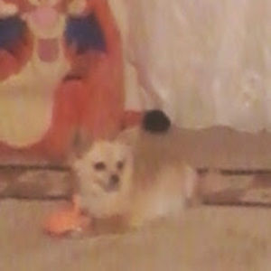 Meet your Posher, Maria